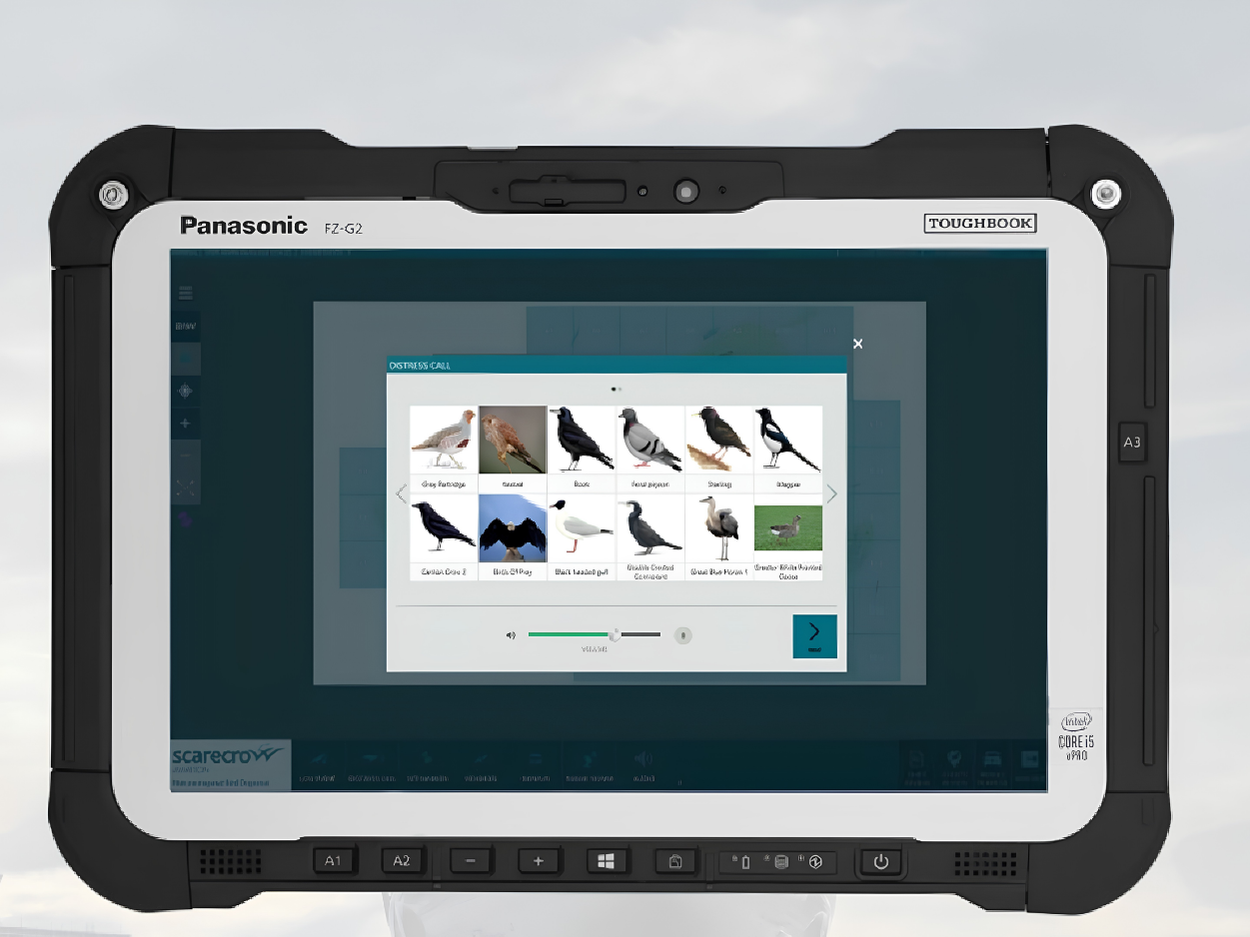 Scarecrow Bird Tab